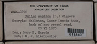 Image Associated With the Occurence